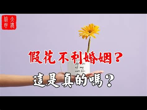 屋企放假花|為什麼家裡不能擺放假花？